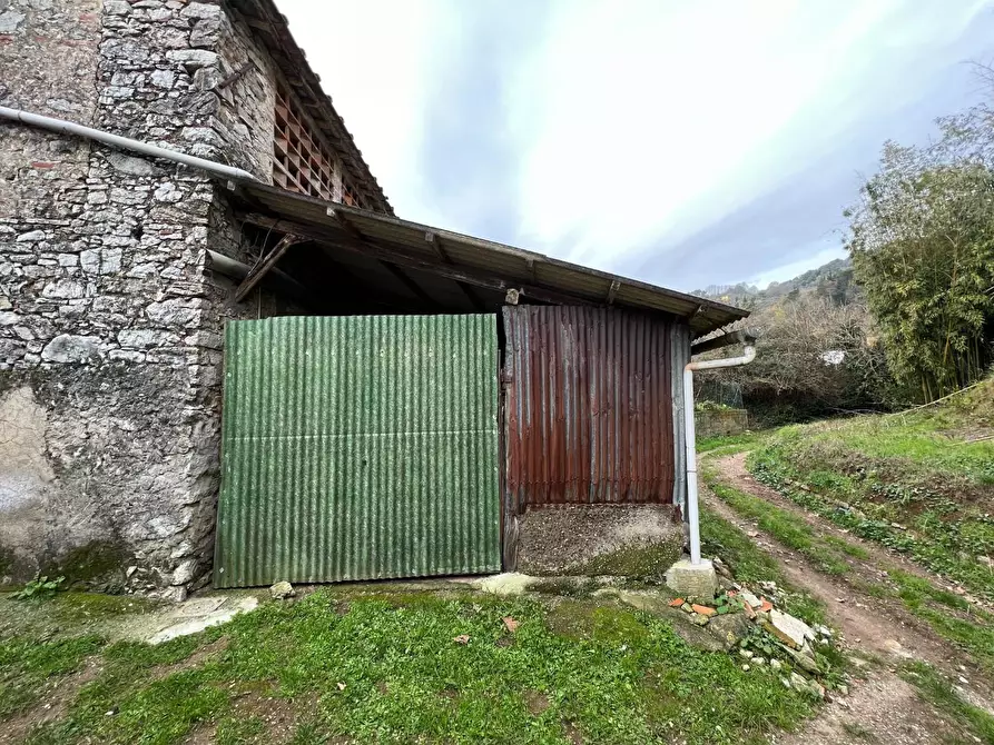 Immagine 3 di Terreno agricolo in vendita  a Lucca