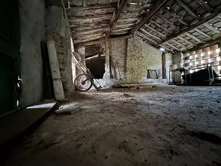 Immagine 7 di Terreno agricolo in vendita  a Lucca