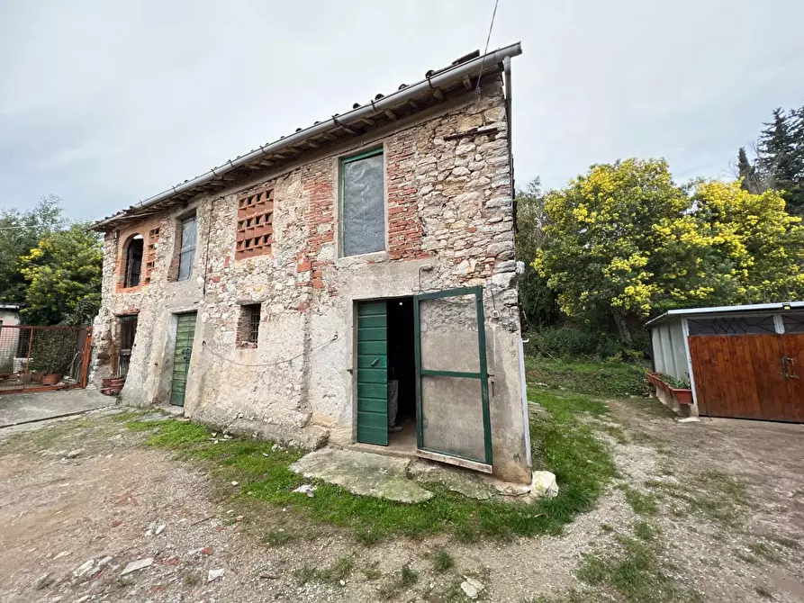 Immagine 5 di Terreno agricolo in vendita  a Lucca