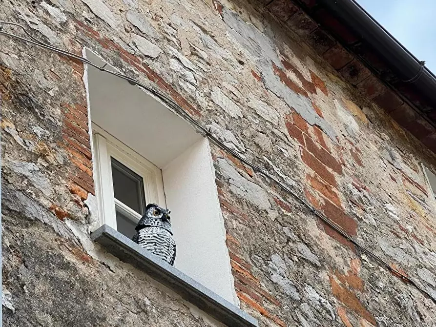 Immagine 9 di Terreno agricolo in vendita  a Lucca