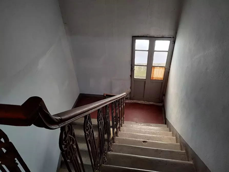 Immagine 21 di Terratetto in vendita  a Terricciola