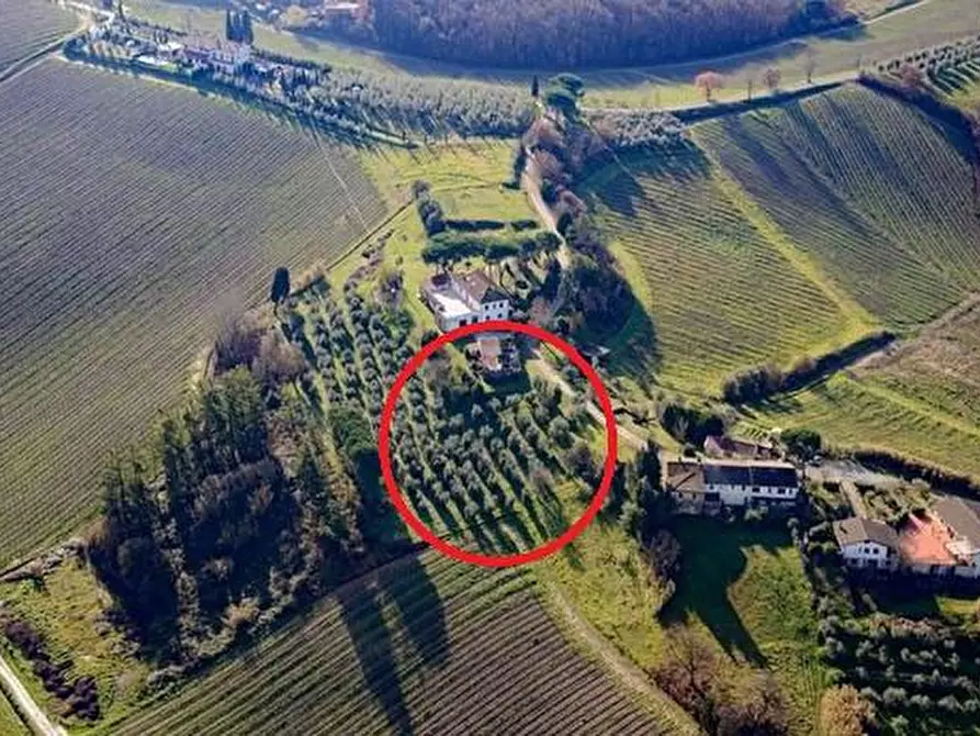 Immagine 5 di Terreno residenziale in vendita  a Cerreto Guidi