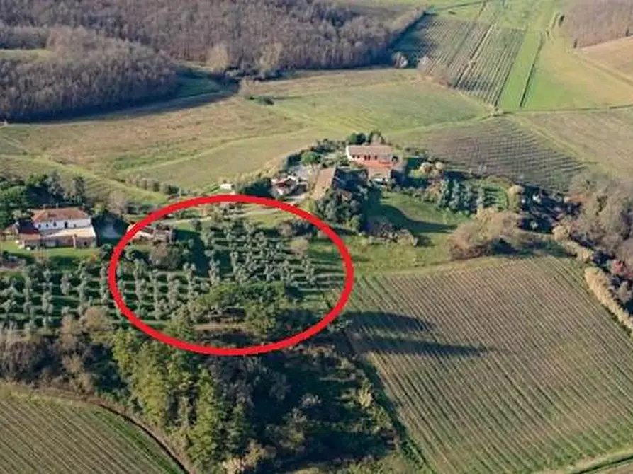 Immagine 4 di Terreno residenziale in vendita  a Cerreto Guidi