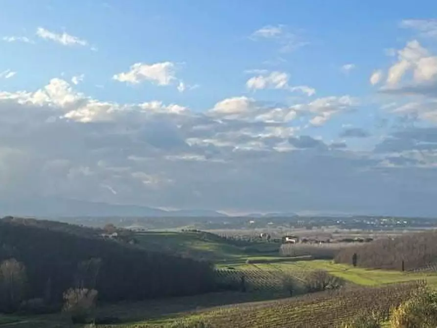 Immagine 6 di Terreno residenziale in vendita  a Cerreto Guidi