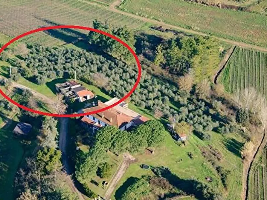 Immagine 3 di Terreno residenziale in vendita  a Cerreto Guidi