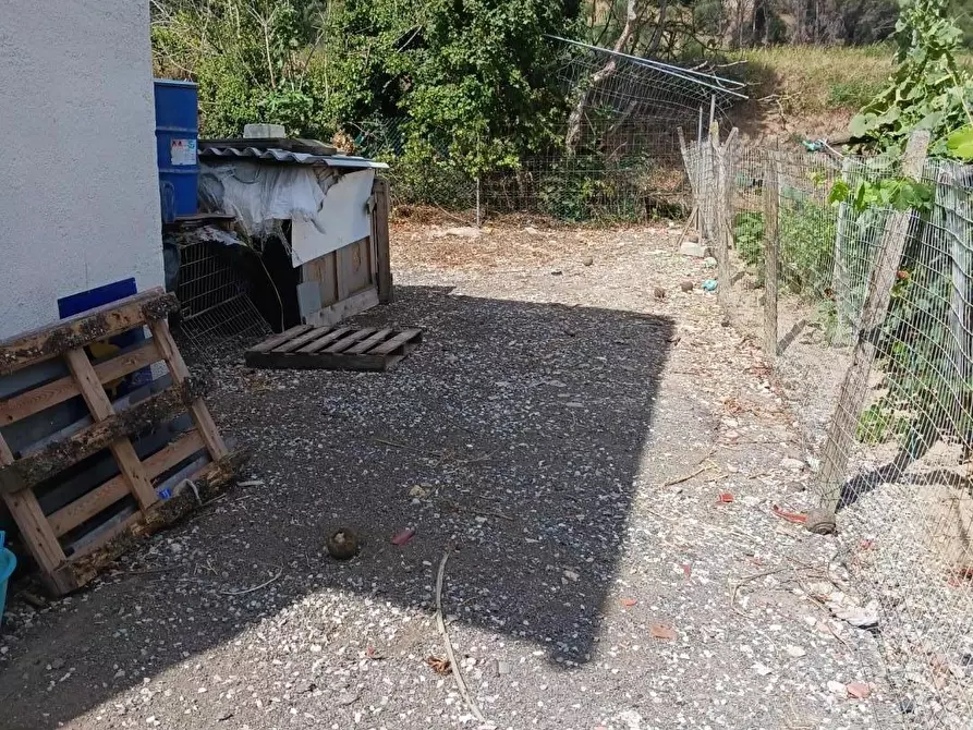 Immagine 4 di Magazzino in affitto  a Santa Maria A Monte