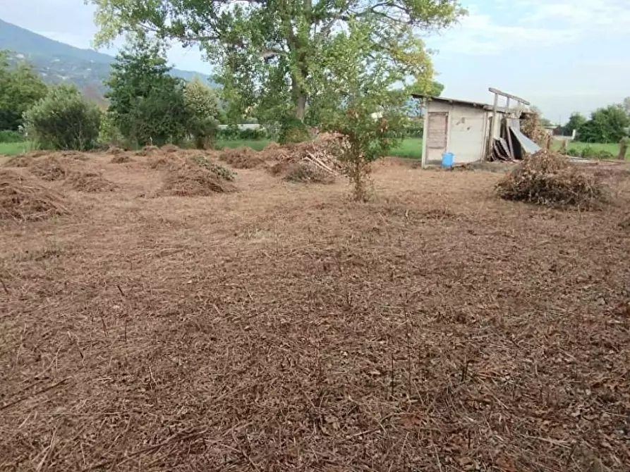 Immagine 6 di Terreno agricolo in vendita  a Massa