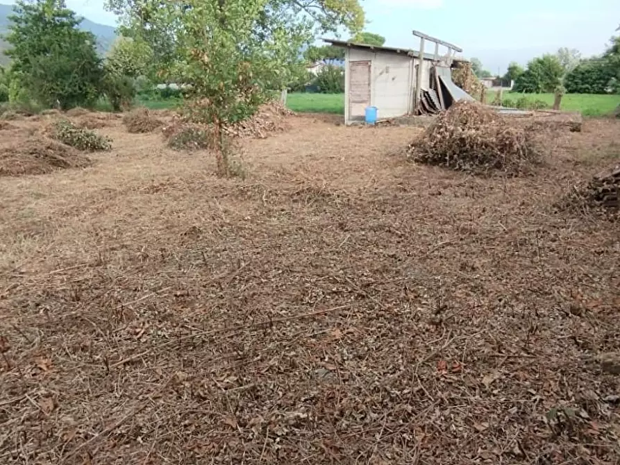 Immagine 1 di Terreno agricolo in vendita  a Massa