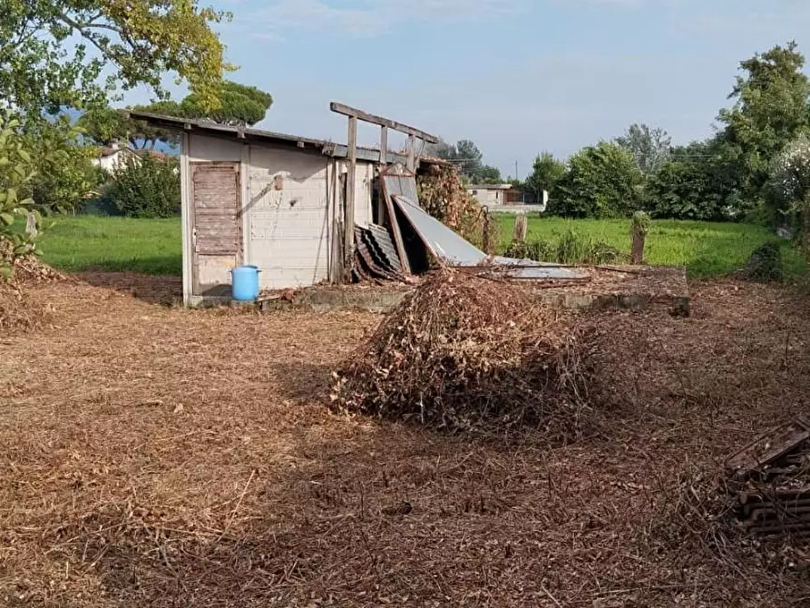 Immagine 4 di Terreno agricolo in vendita  a Massa