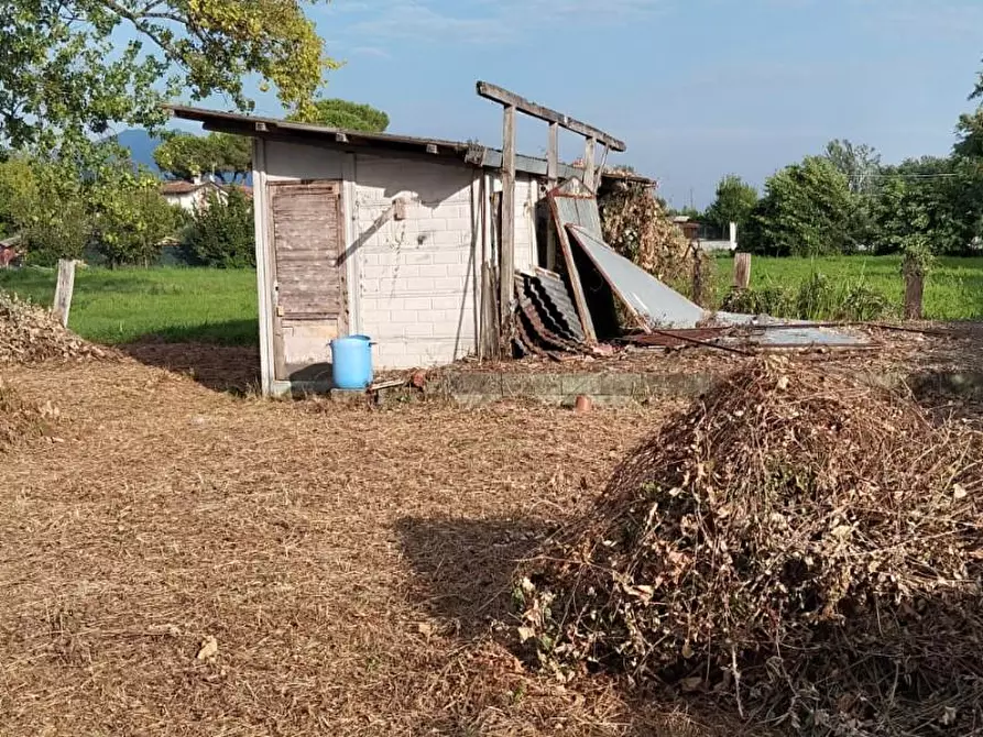Immagine 3 di Terreno agricolo in vendita  a Massa