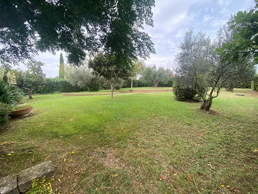 Immagine 5 di Casa bifamiliare in vendita  a Grosseto