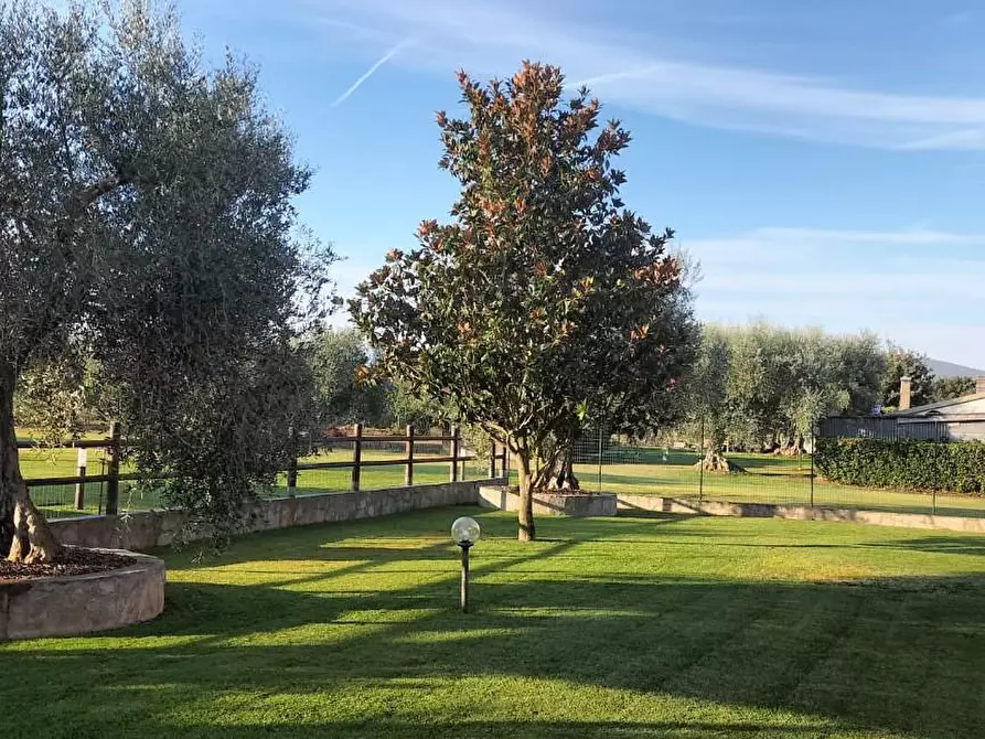 Immagine 6 di Casa bifamiliare in vendita  a Grosseto