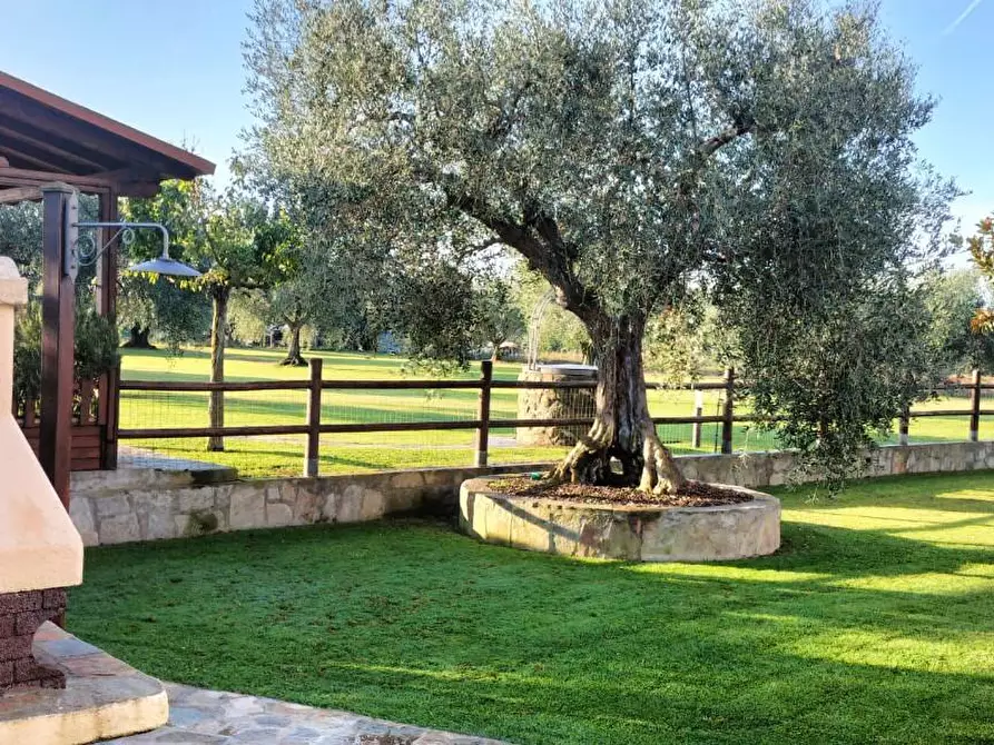 Immagine 7 di Casa bifamiliare in vendita  a Grosseto