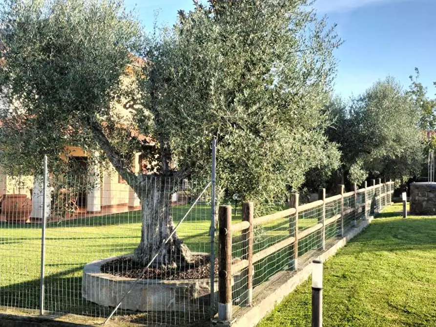 Immagine 3 di Casa bifamiliare in vendita  a Grosseto