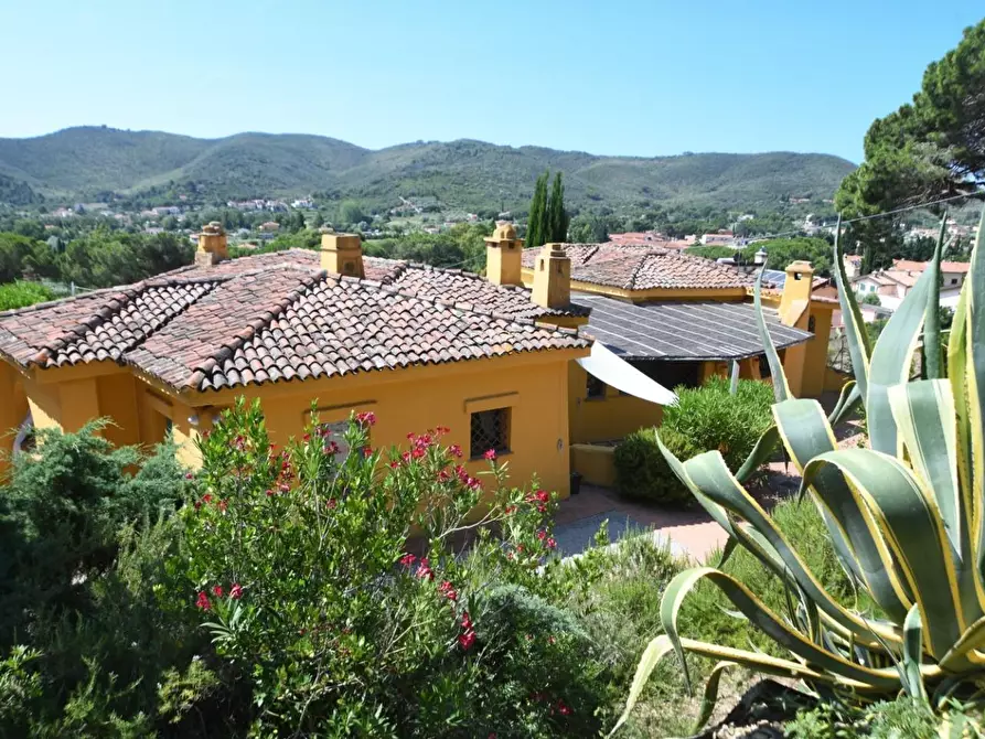 Immagine 4 di Villa in vendita  a Campo Nell'elba