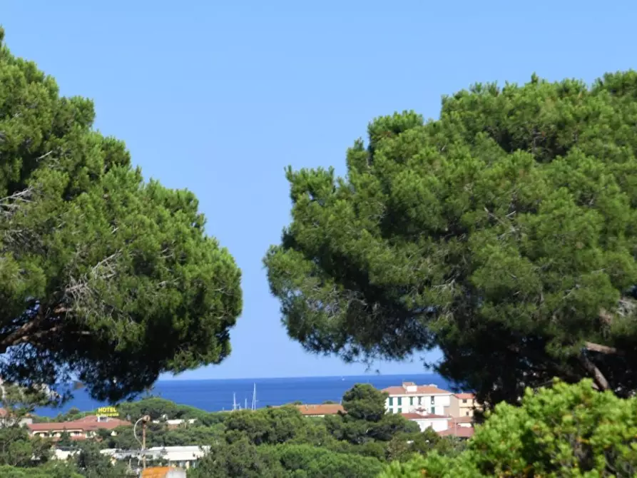 Immagine 85 di Villa in vendita  a Campo Nell'elba