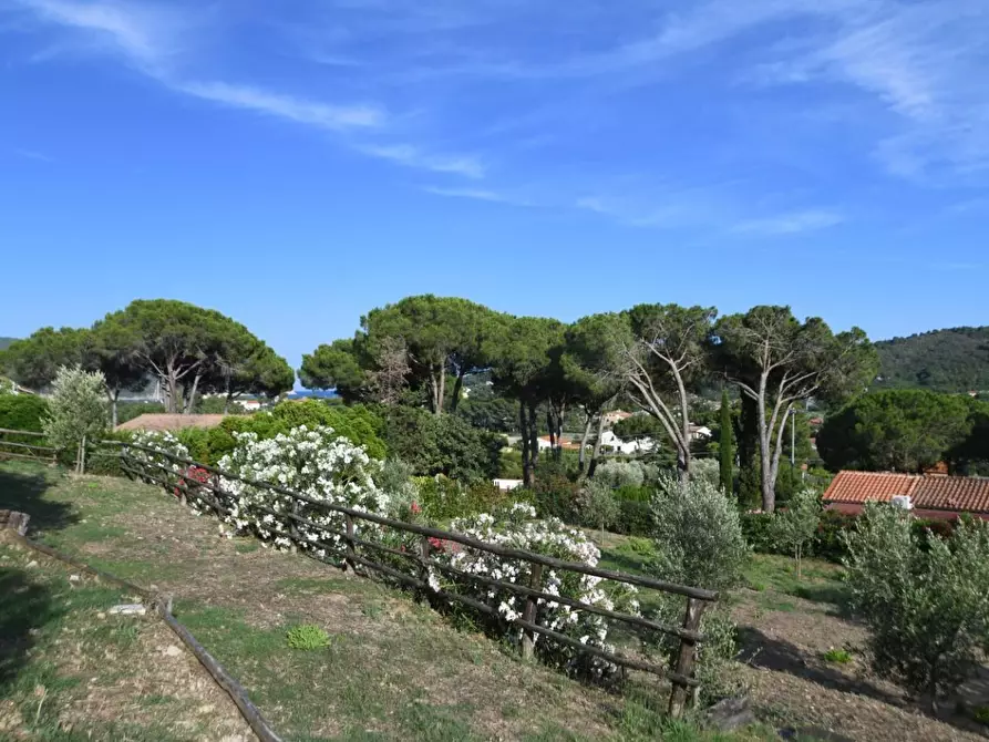 Immagine 86 di Villa in vendita  a Campo Nell'elba