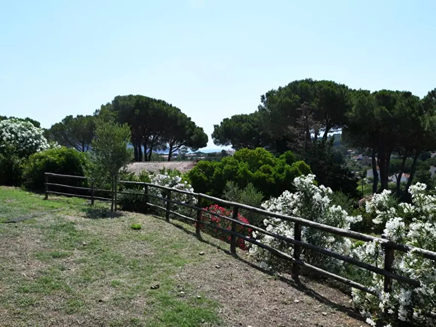 Immagine 5 di Villa in vendita  a Campo Nell'elba