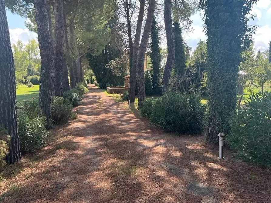 Immagine 22 di Villa in vendita  a Empoli