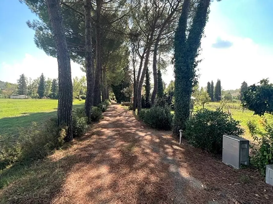 Immagine 23 di Villa in vendita  a Empoli