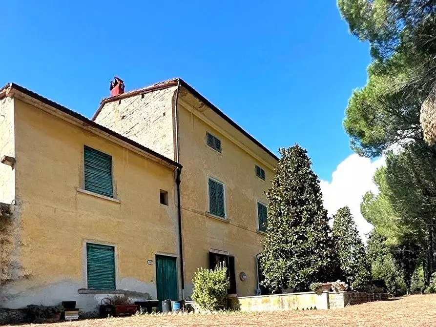 Immagine 2 di Villa in vendita  a Empoli