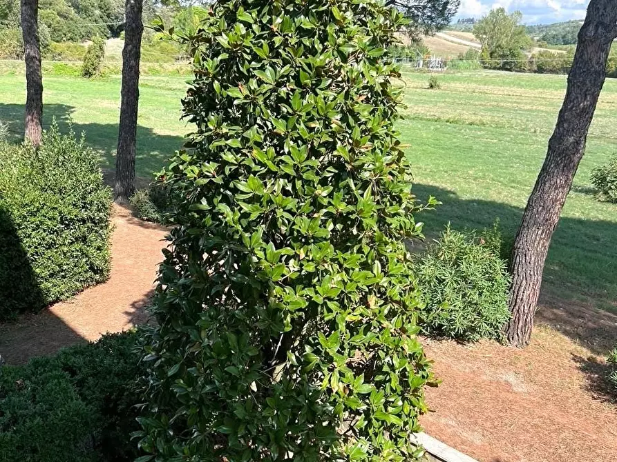 Immagine 21 di Villa in vendita  a Empoli