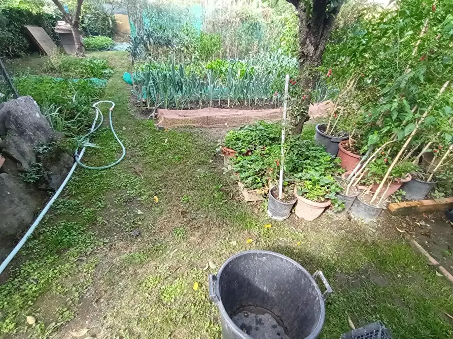 Immagine 7 di Villa in vendita  a Lucca