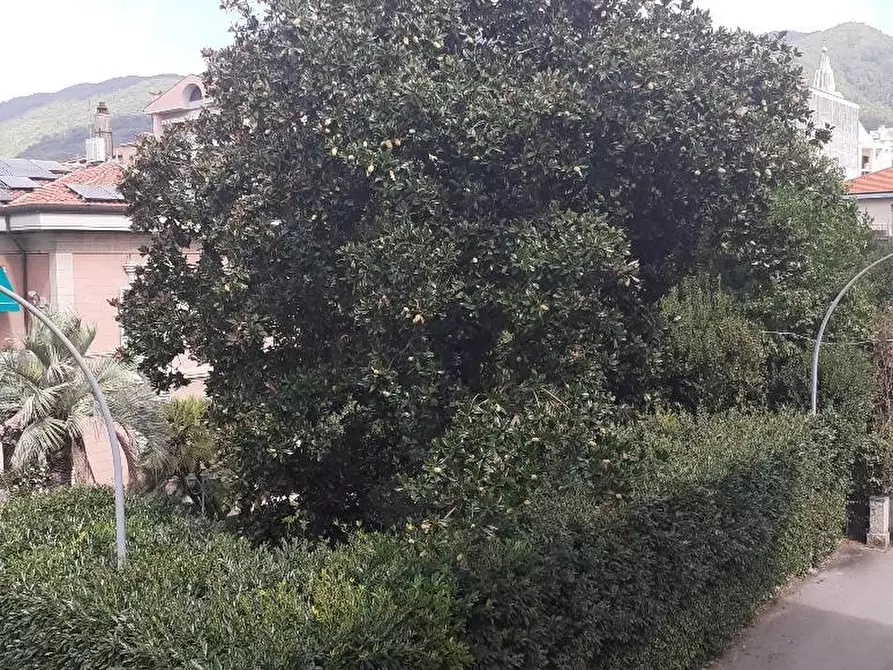 Immagine 19 di Appartamento in vendita  a Massa