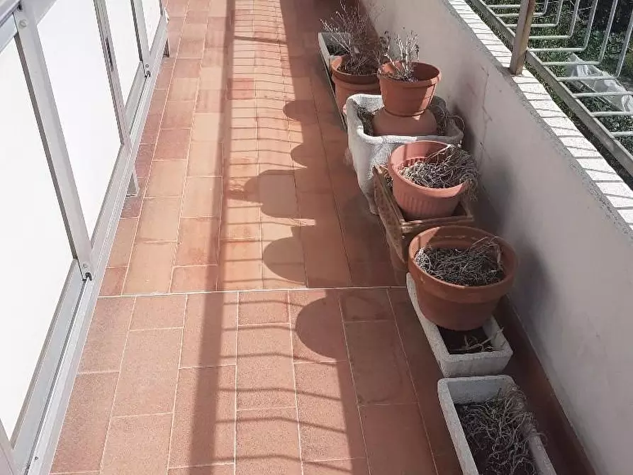 Immagine 3 di Appartamento in vendita  a Massa