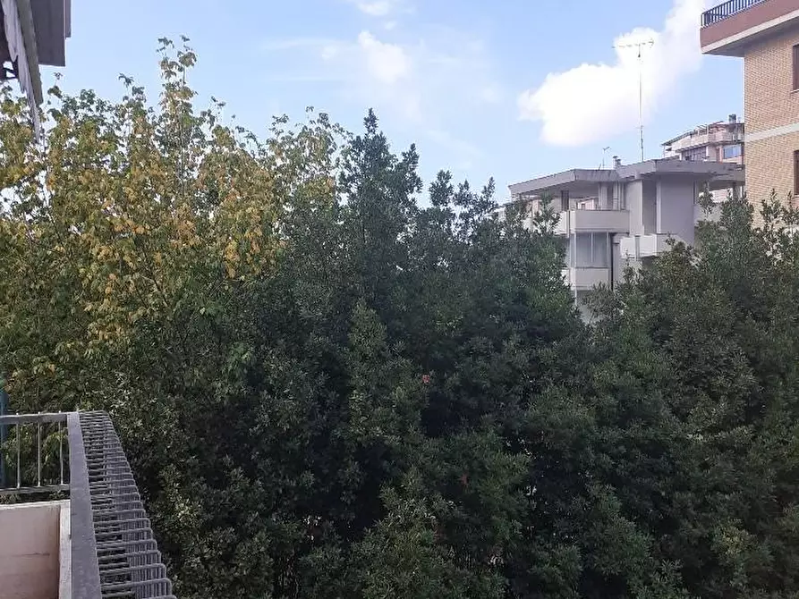 Immagine 18 di Appartamento in vendita  a Massa