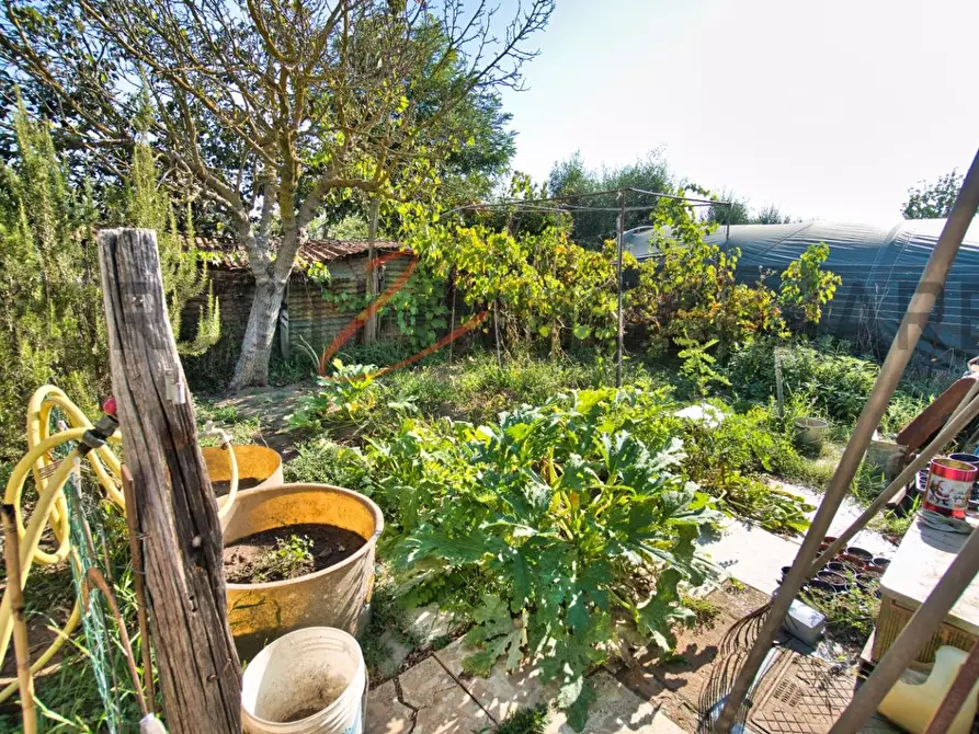 Immagine 42 di Casa semindipendente in vendita  a Campiglia Marittima