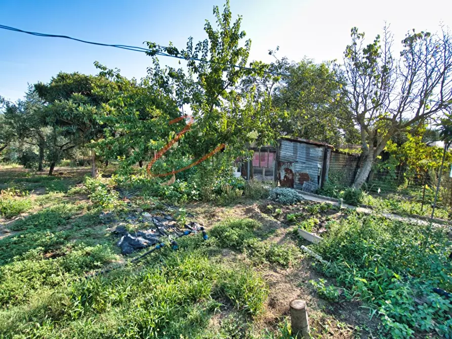 Immagine 43 di Casa semindipendente in vendita  a Campiglia Marittima