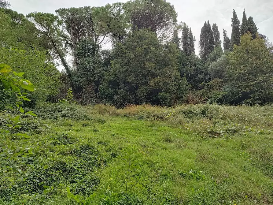 Immagine 1 di Terreno agricolo in vendita  a Fauglia