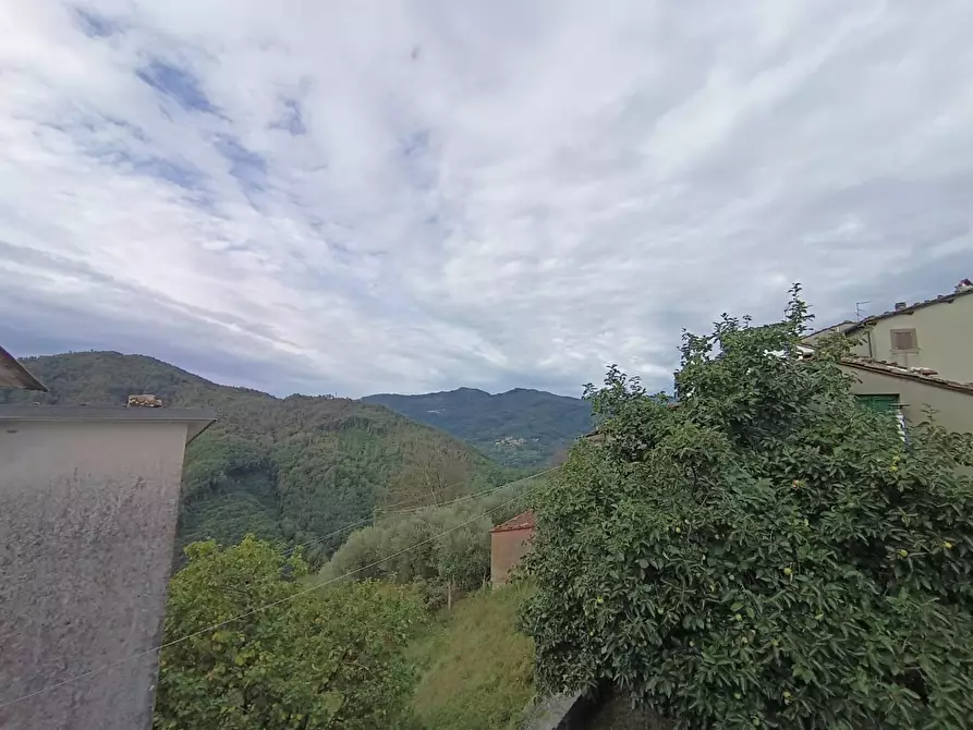 Immagine 15 di Terratetto in vendita  a Bagni Di Lucca