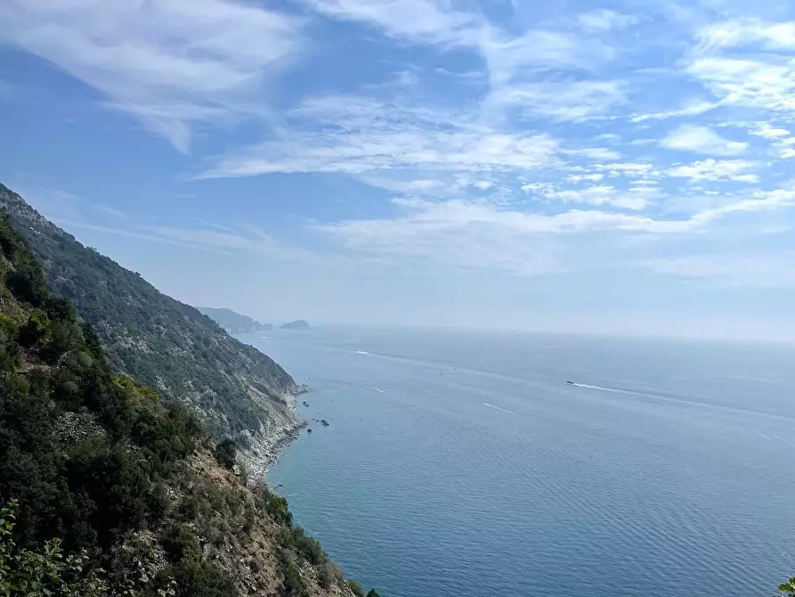 Immagine 2 di Porzione di casa in vendita  a La Spezia