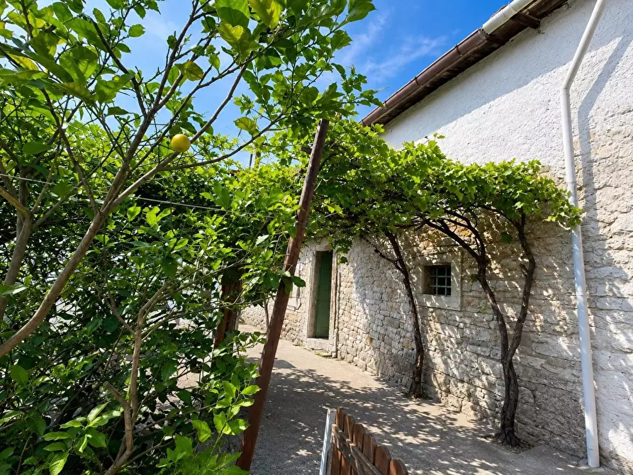 Immagine 4 di Casa semindipendente in vendita  a La Spezia