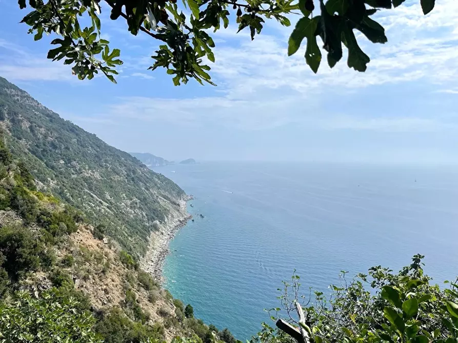 Immagine 3 di Porzione di casa in vendita  a La Spezia
