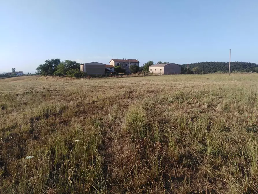 Immagine 12 di Casa colonica in vendita  a Canino