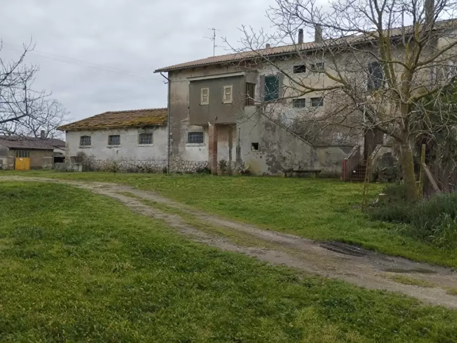 Immagine 9 di Casa colonica in vendita  a Canino