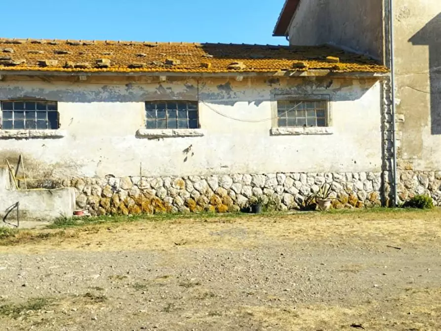 Immagine 11 di Casa colonica in vendita  a Canino