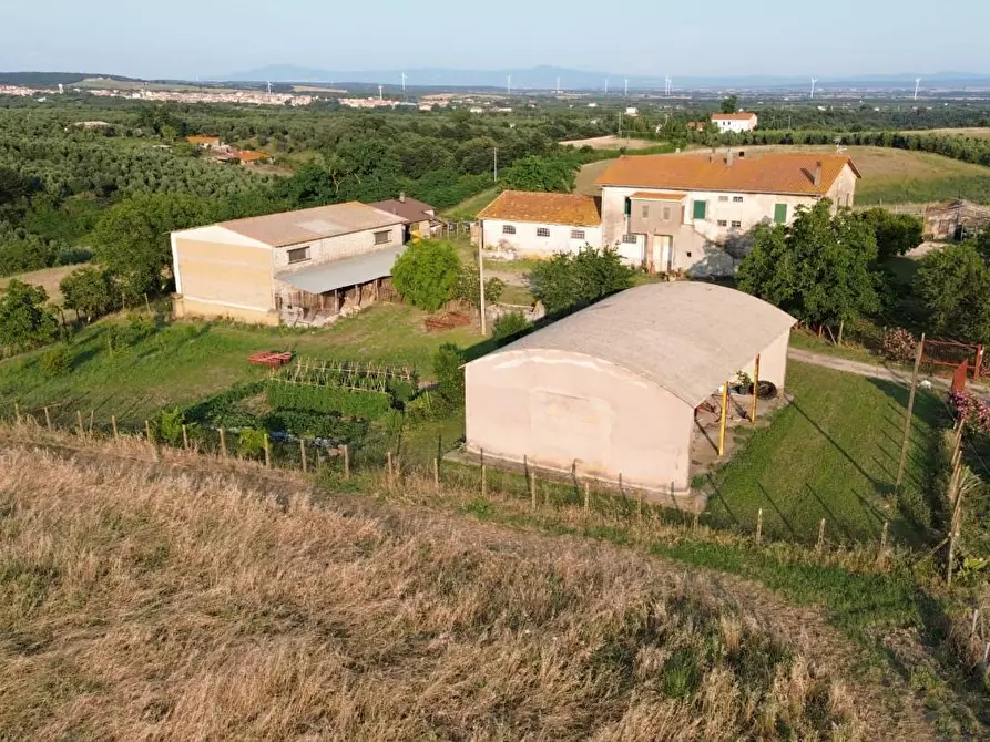 Immagine 1 di Casa colonica in vendita  a Canino