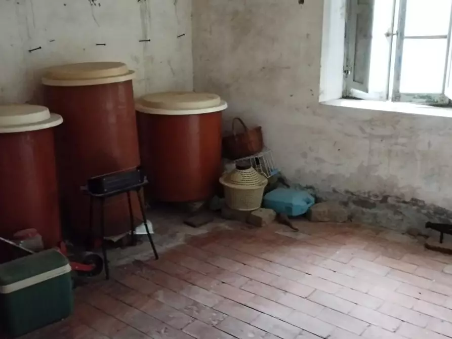 Immagine 7 di Casa colonica in vendita  a Canino