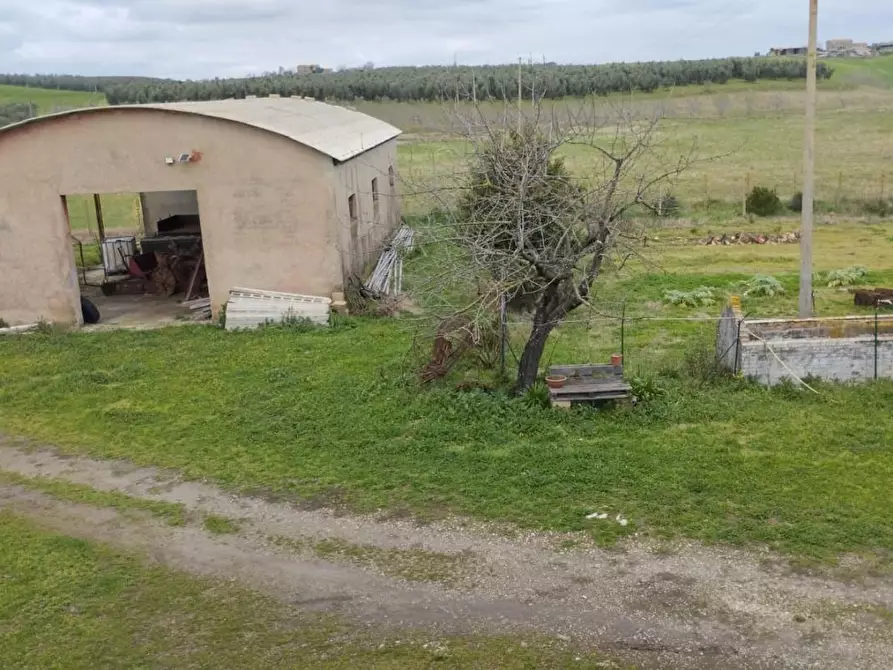 Immagine 3 di Casa colonica in vendita  a Canino