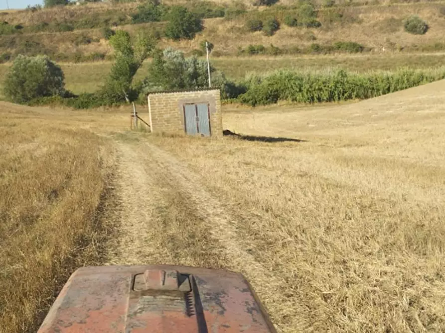 Immagine 3 di Casa colonica in vendita  a Canino