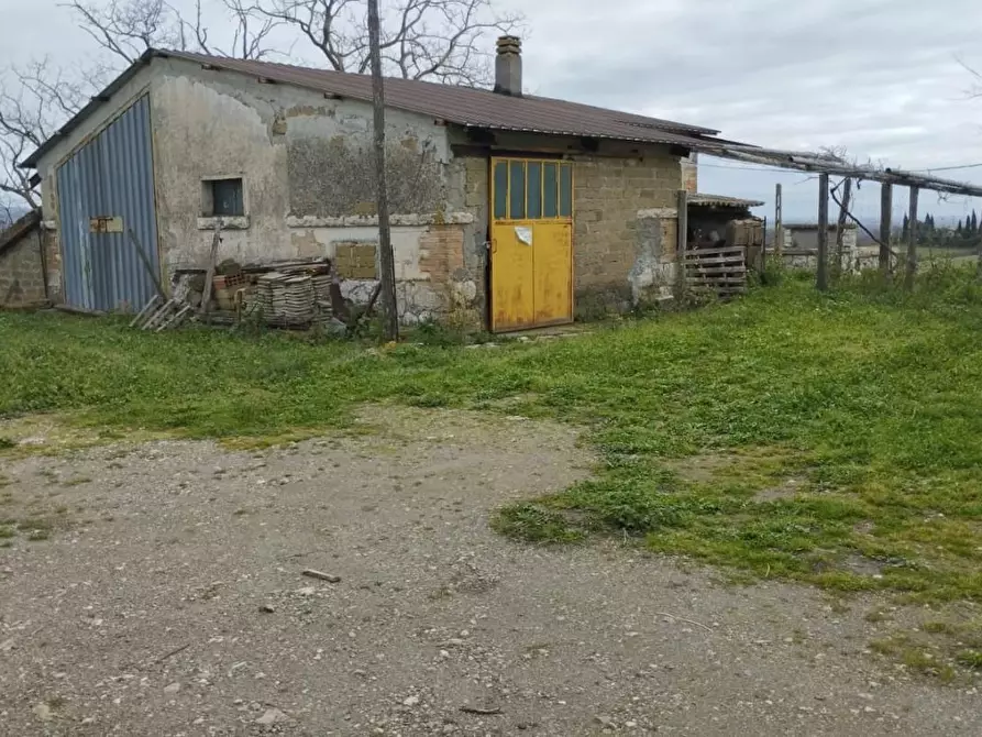 Immagine 10 di Casa colonica in vendita  a Canino