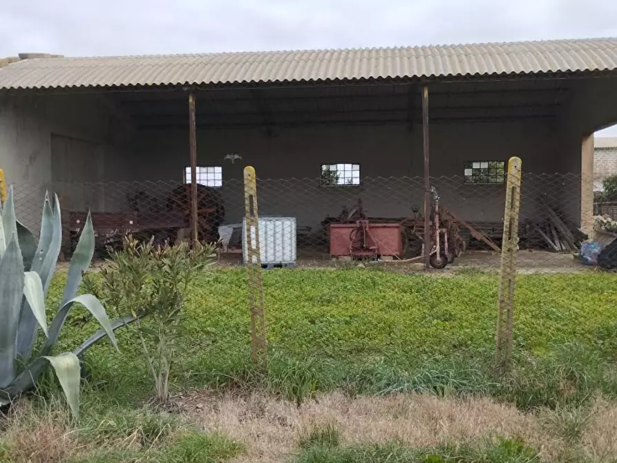 Immagine 4 di Casa colonica in vendita  a Canino