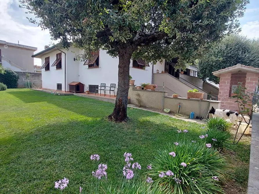 Immagine 21 di Villetta a schiera in vendita  a Campiglia Marittima