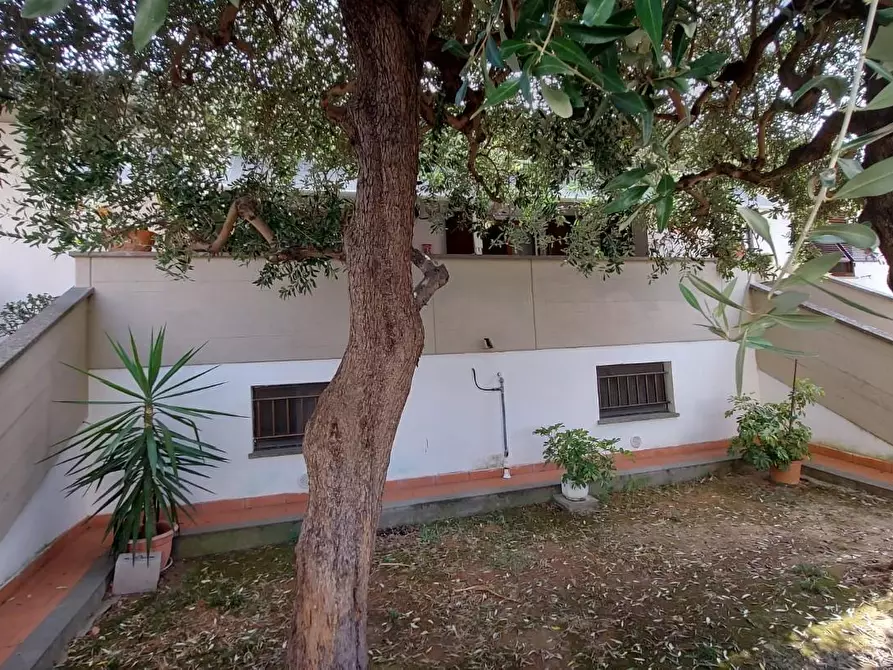 Immagine 22 di Villetta a schiera in vendita  a Campiglia Marittima