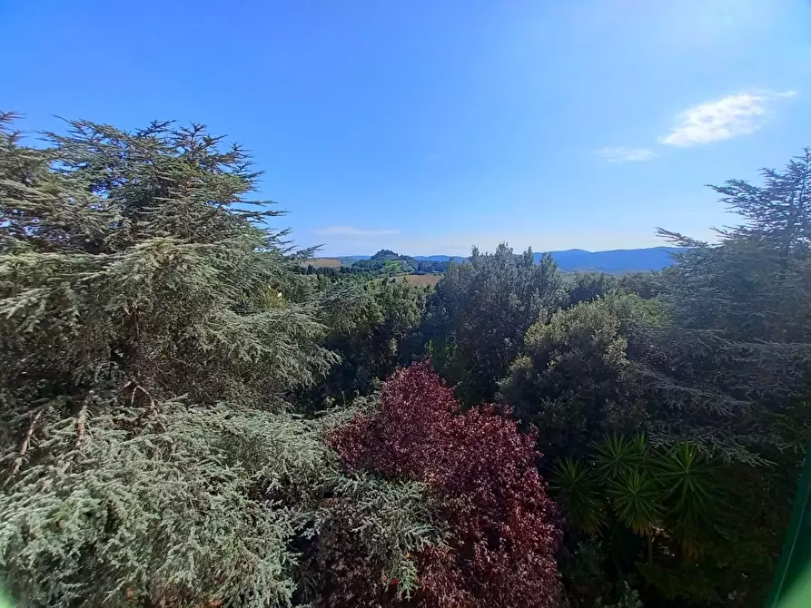 Immagine 49 di Villa in vendita  a Crespina Lorenzana