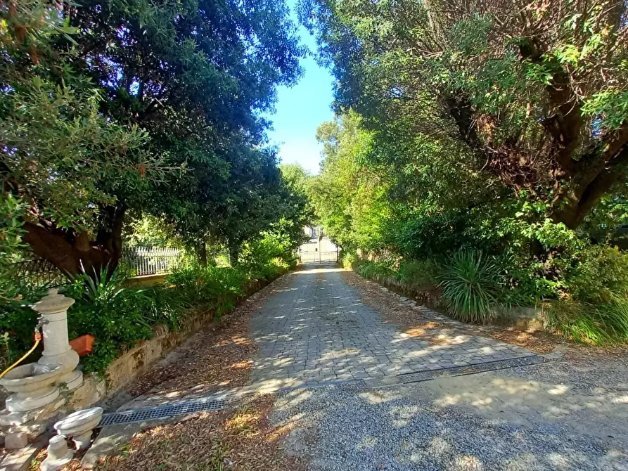 Immagine 47 di Villa in vendita  a Crespina Lorenzana